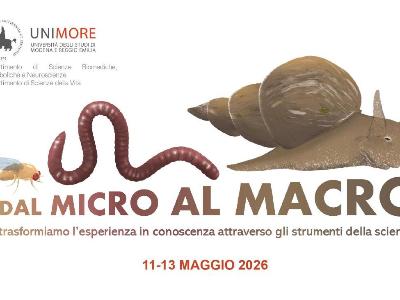 Micro macro